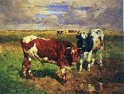 unknow artist Young bulls at a watering place oil painting reproduction